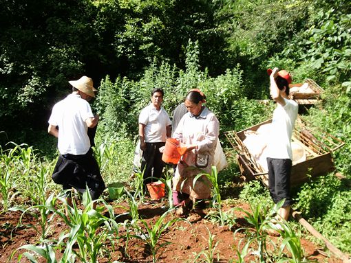 志愿者帮助村民干农活